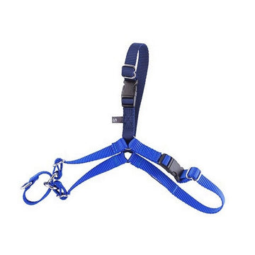 Petsleisure Pet Collars & Harnesses